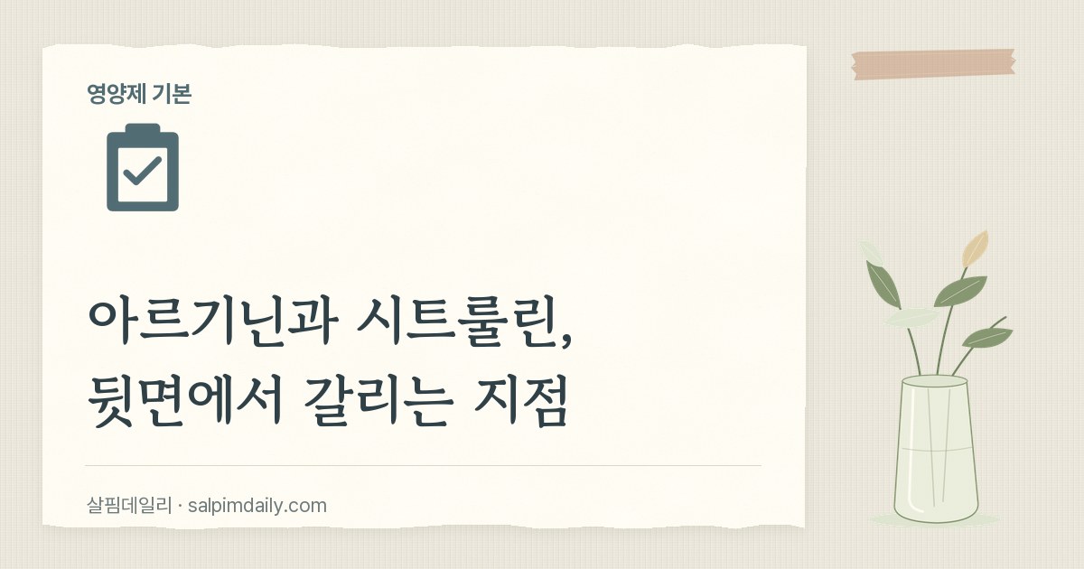 아르기닌과 시트룰린, 뒷면에서 갈리는 지점