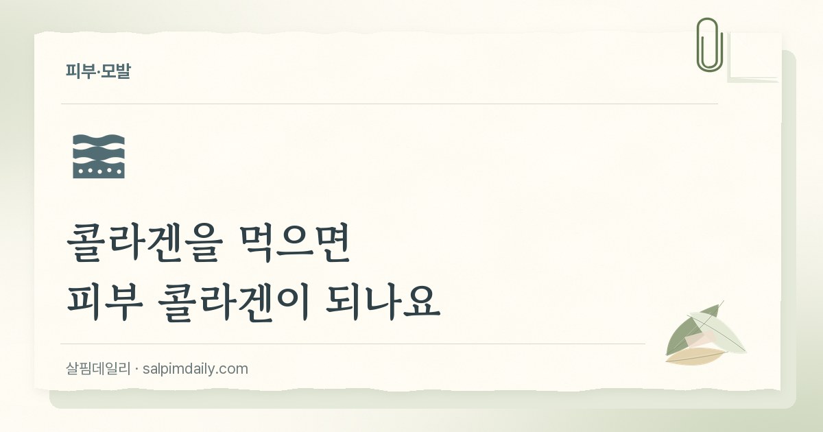 콜라겐을 먹으면 피부 콜라겐이 되나요