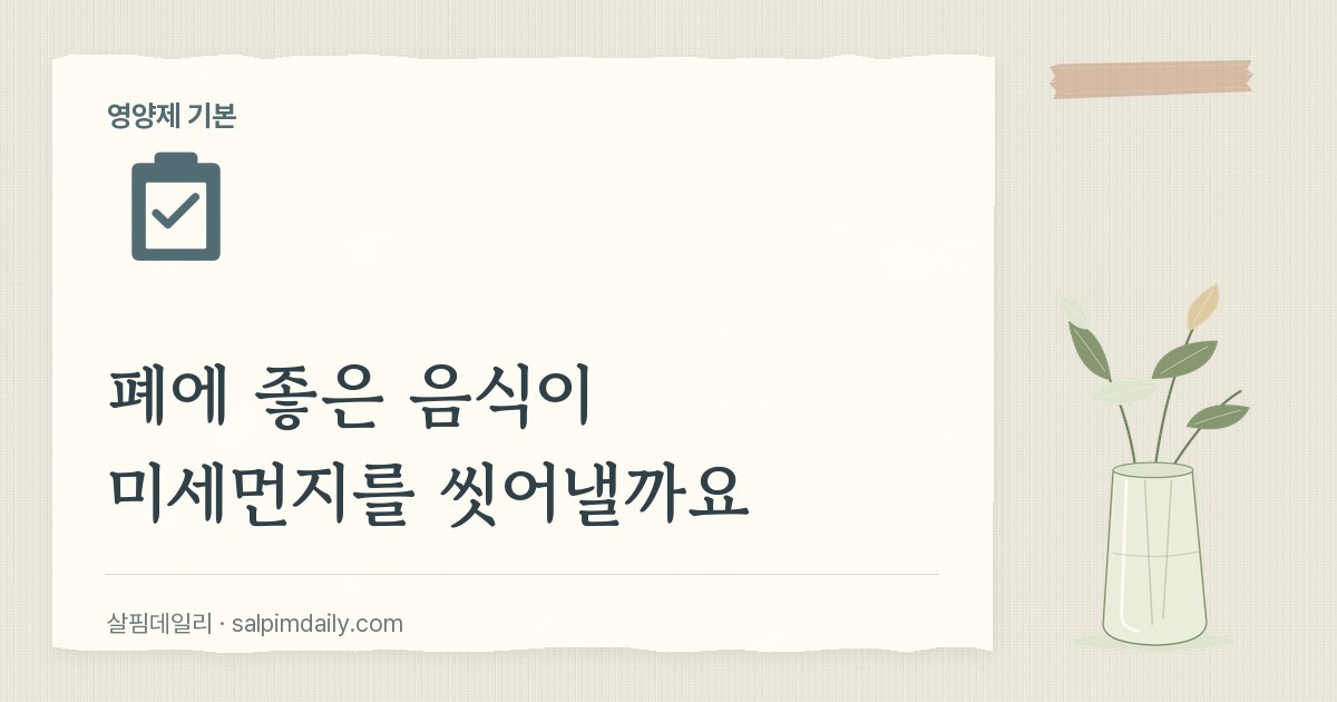 폐에 좋은 음식이 미세먼지를 씻어낼까요