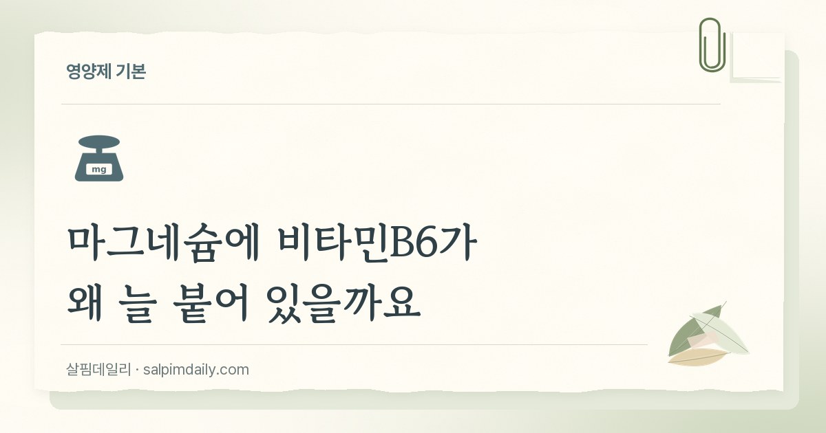 마그네슘에 비타민B6가 왜 늘 붙어 있을까요