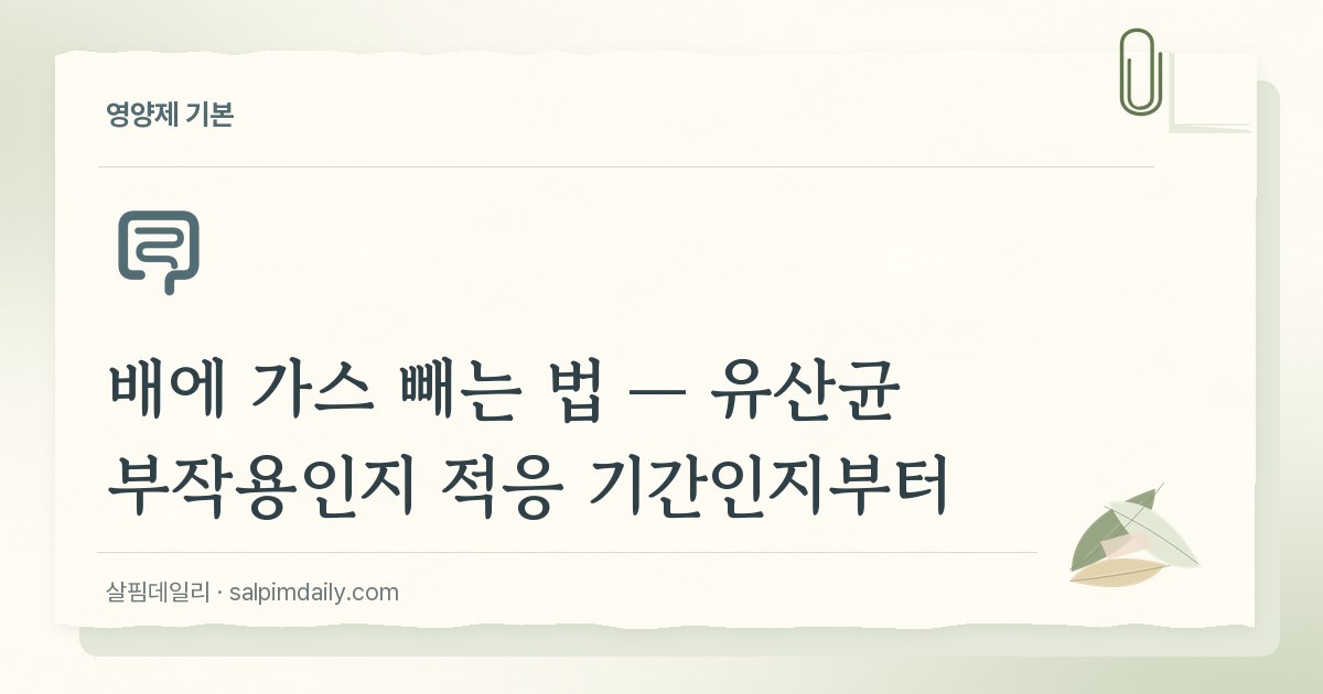 유산균 부작용일까 적응 기간일까 — 배에 가스만 차는 사람