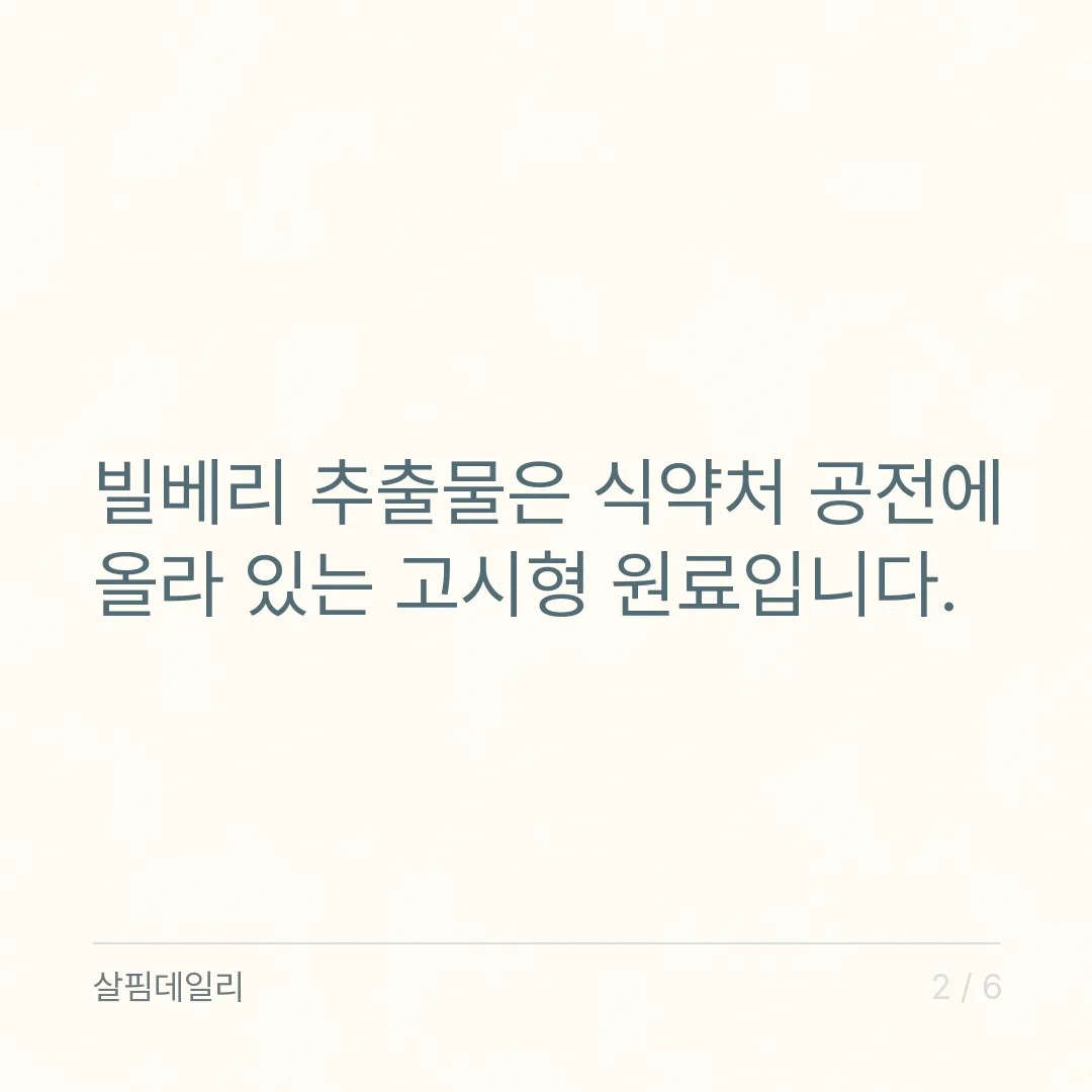 빌베리 하루 섭취량, 추출물 160~240mg과 루테인과 다른 인정 문구 카드 2