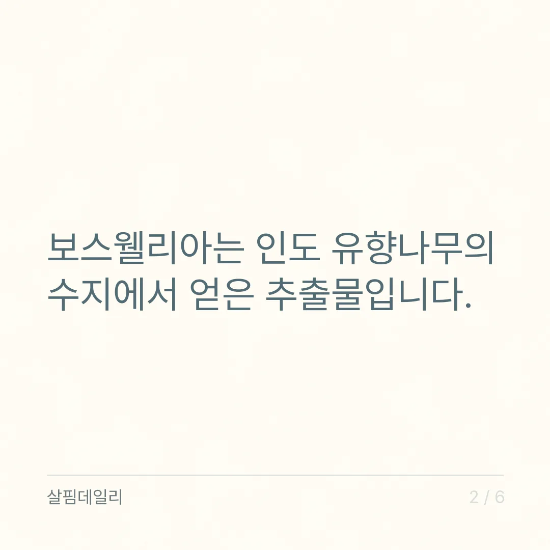 보스웰리아 먹는 시간, 정해진 시간보다 섭취 방법 칸과 드시는 약을 보세요 카드 2