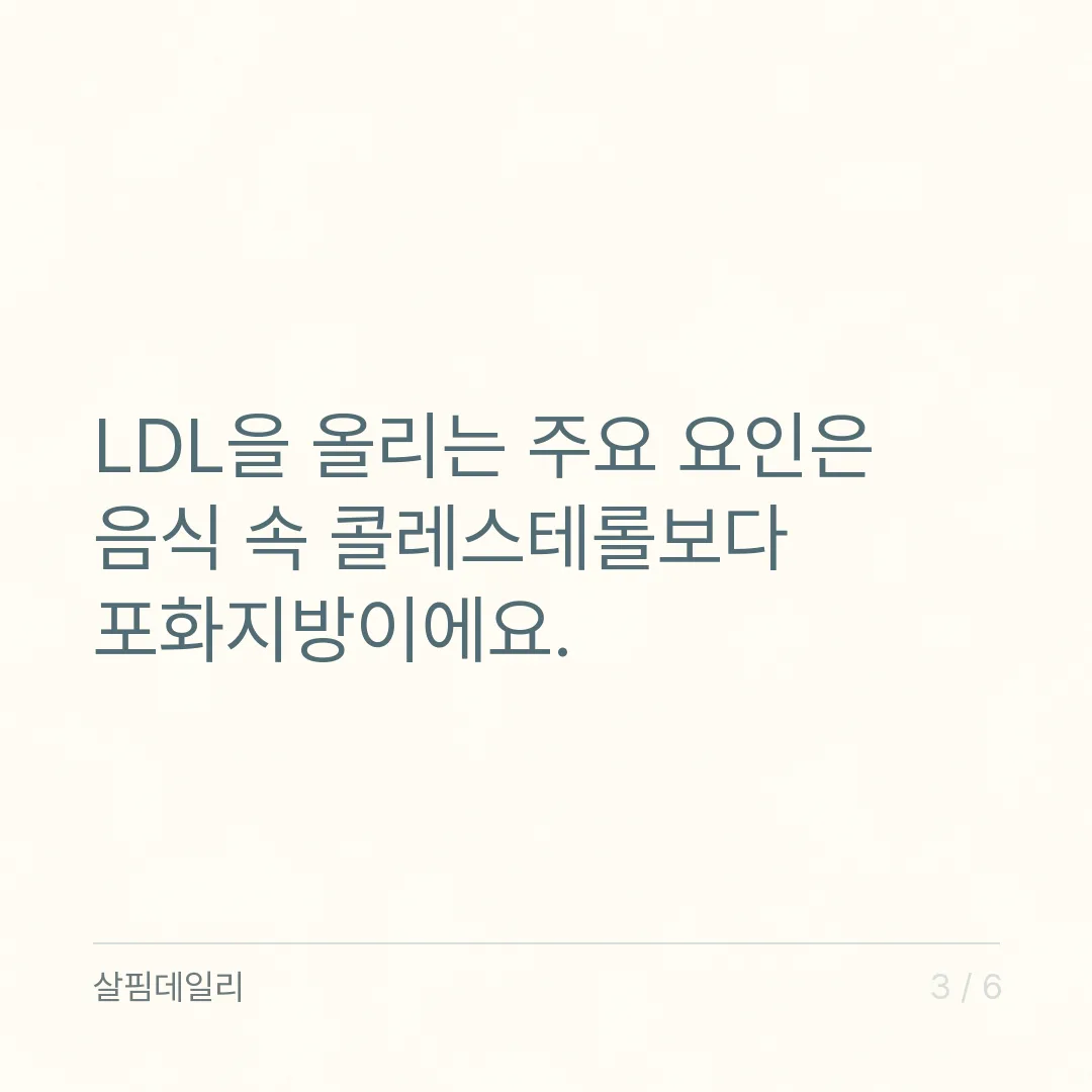 콜레스테롤 높은 이유, 계란보다 먼저 볼 포화지방과 유전·체중·술 카드 3