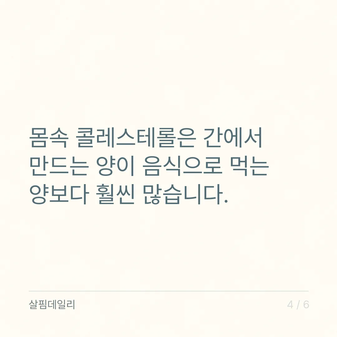 콜레스테롤 높은 이유, 계란보다 먼저 볼 포화지방과 유전·체중·술 카드 4