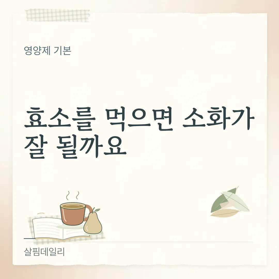 소화효소 효과 있나요? 곡물·과일 효소 식품과 약국 소화 효소제는 분류가 다릅니다 카드 1
