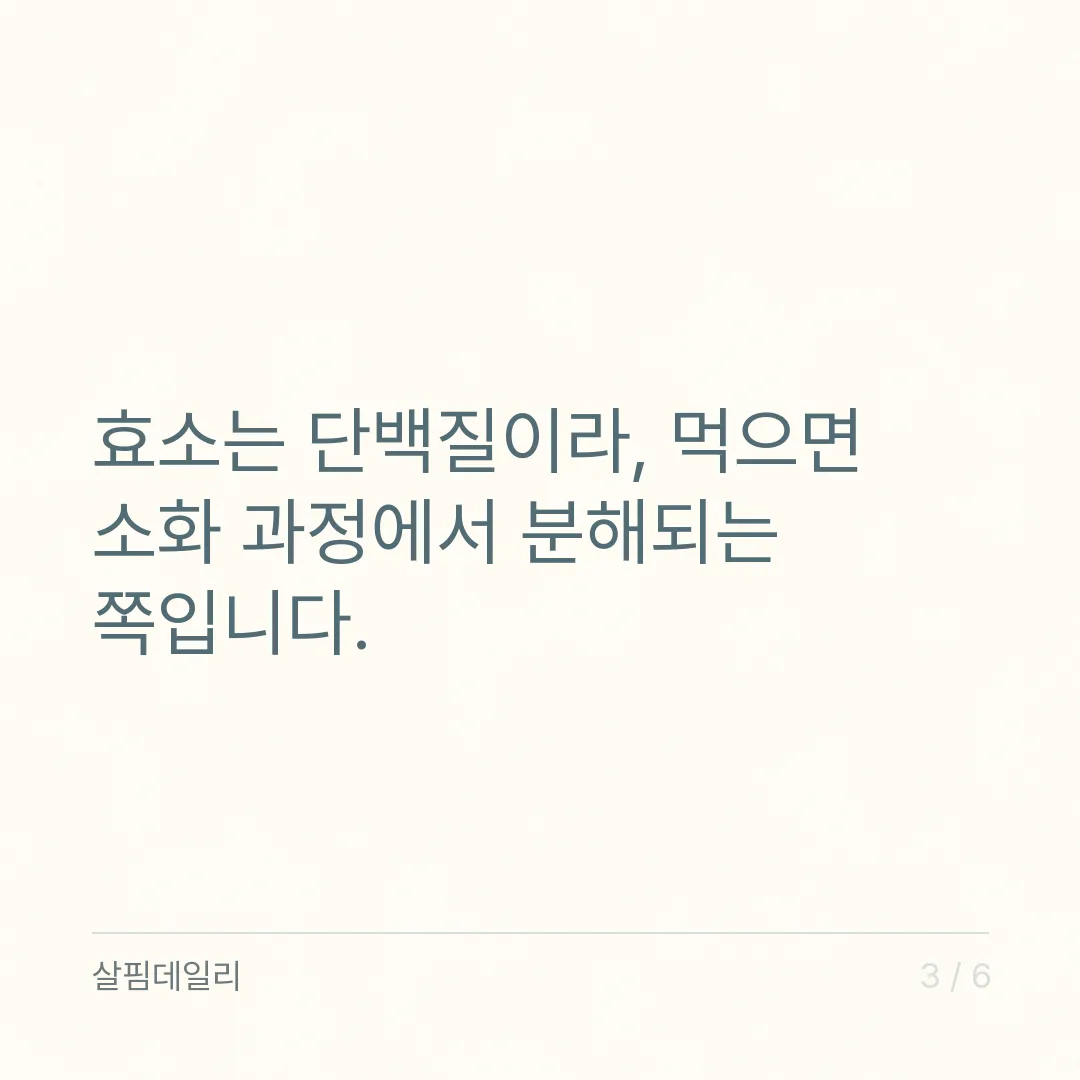 소화효소 효과 있나요? 곡물·과일 효소 식품과 약국 소화 효소제는 분류가 다릅니다 카드 3