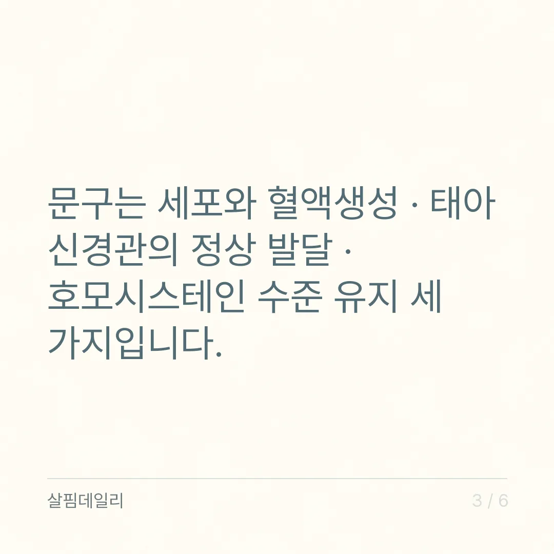 엽산 하루 섭취량 120~400μg DFE, 종합비타민과 겹칠 때 더하는 법 카드 3
