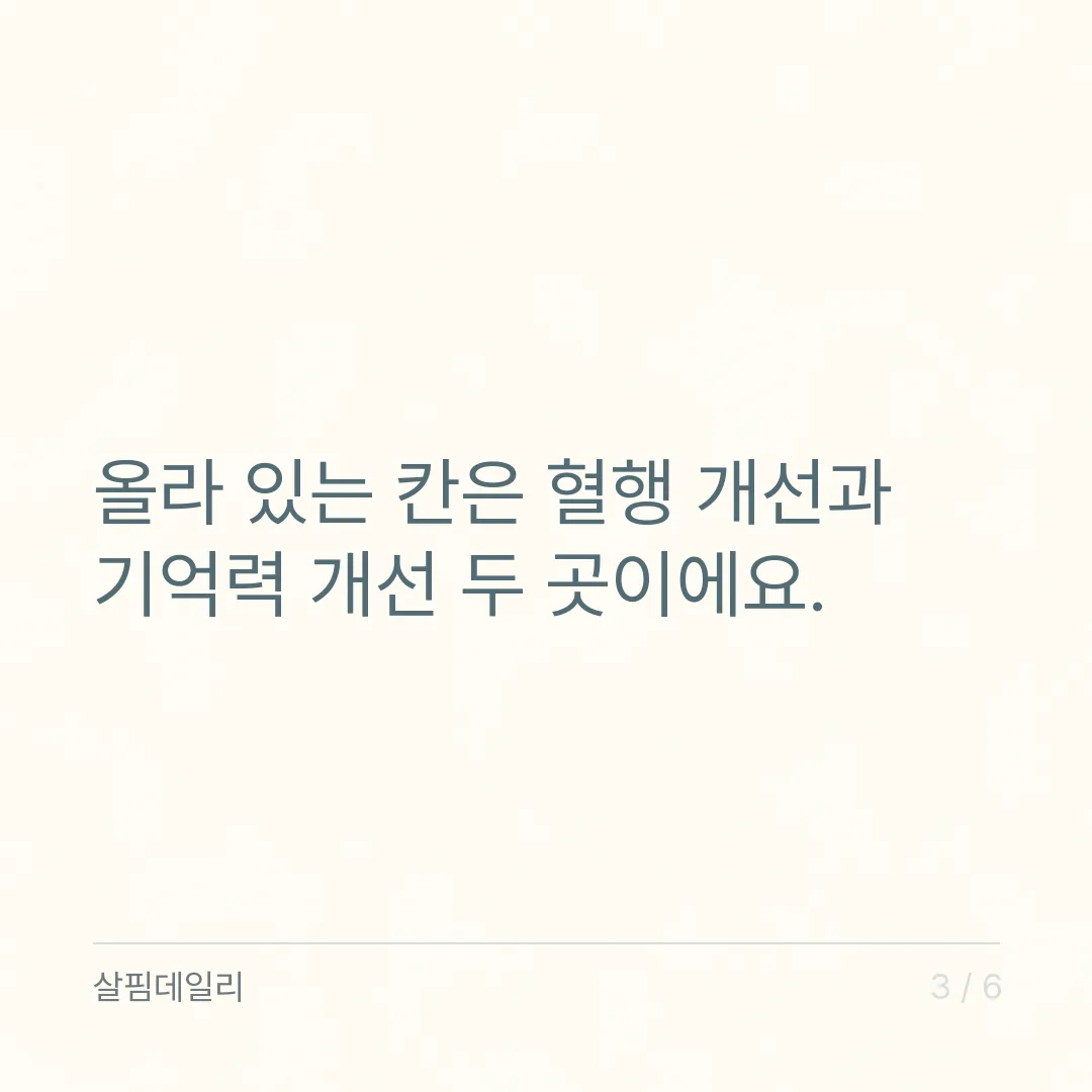 은행잎추출물, 식약처가 인정한 칸은 혈행 개선과 기억력 개선 두 곳입니다 카드 3