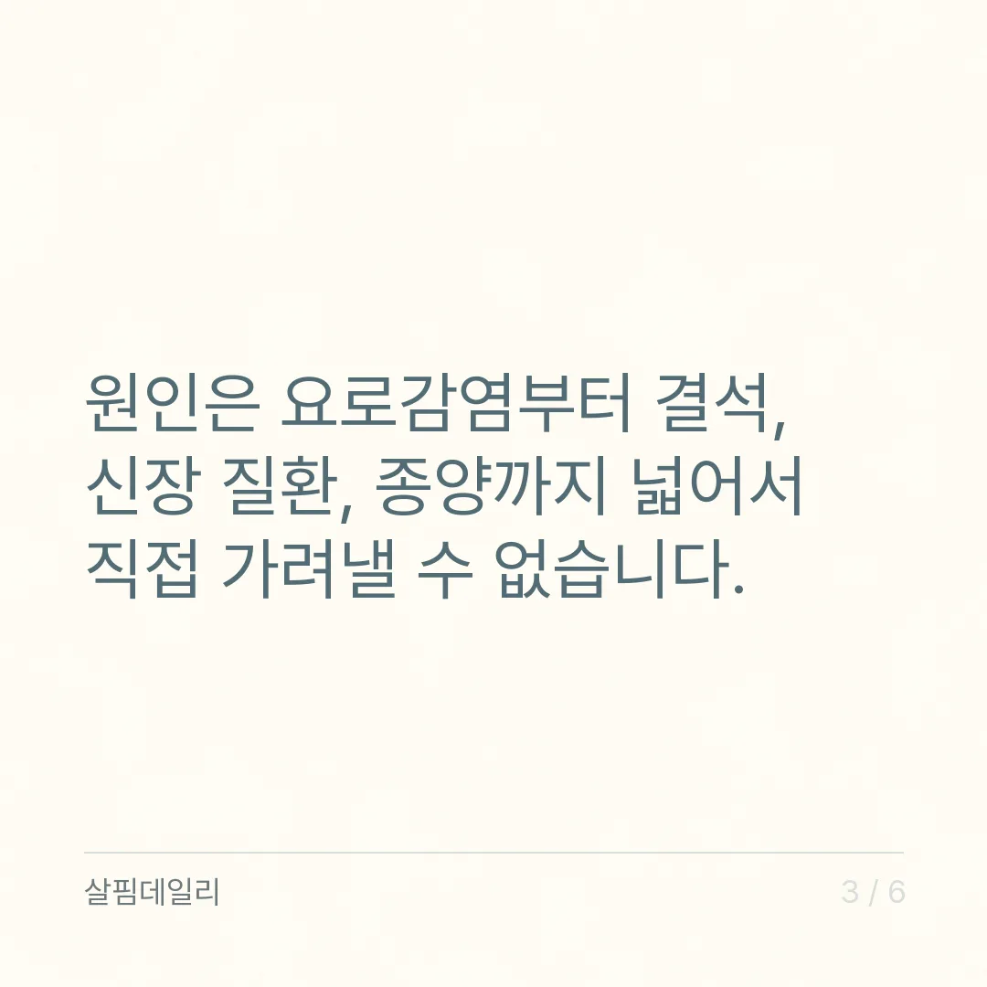 혈뇨가 보일 때, 병원에서 먼저 하는 검사와 가야 할 과 카드 3