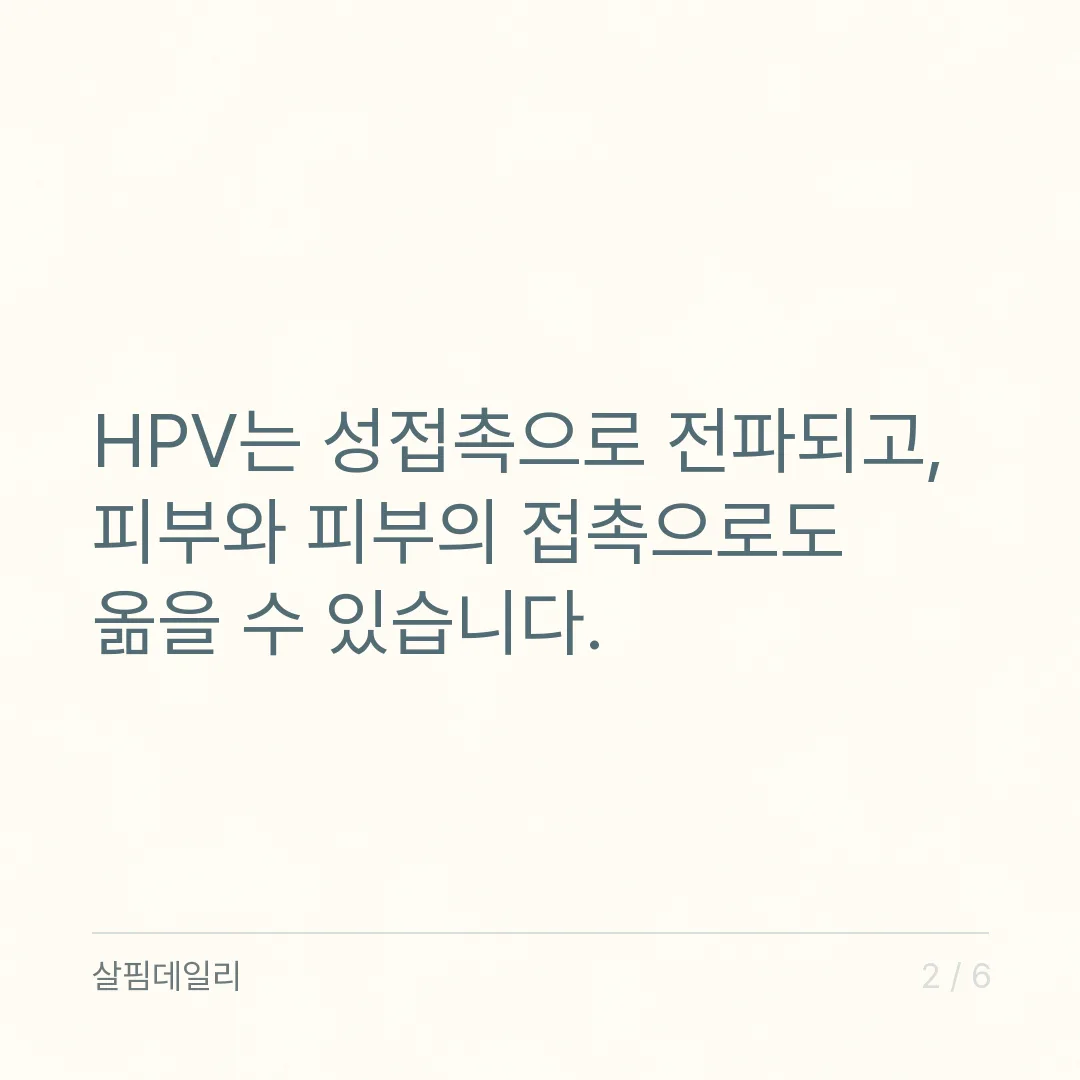 HPV 고위험군 양성 뜻, 암 진단이 아니라 감염 확인이고 다음은 검진 일정 카드 2