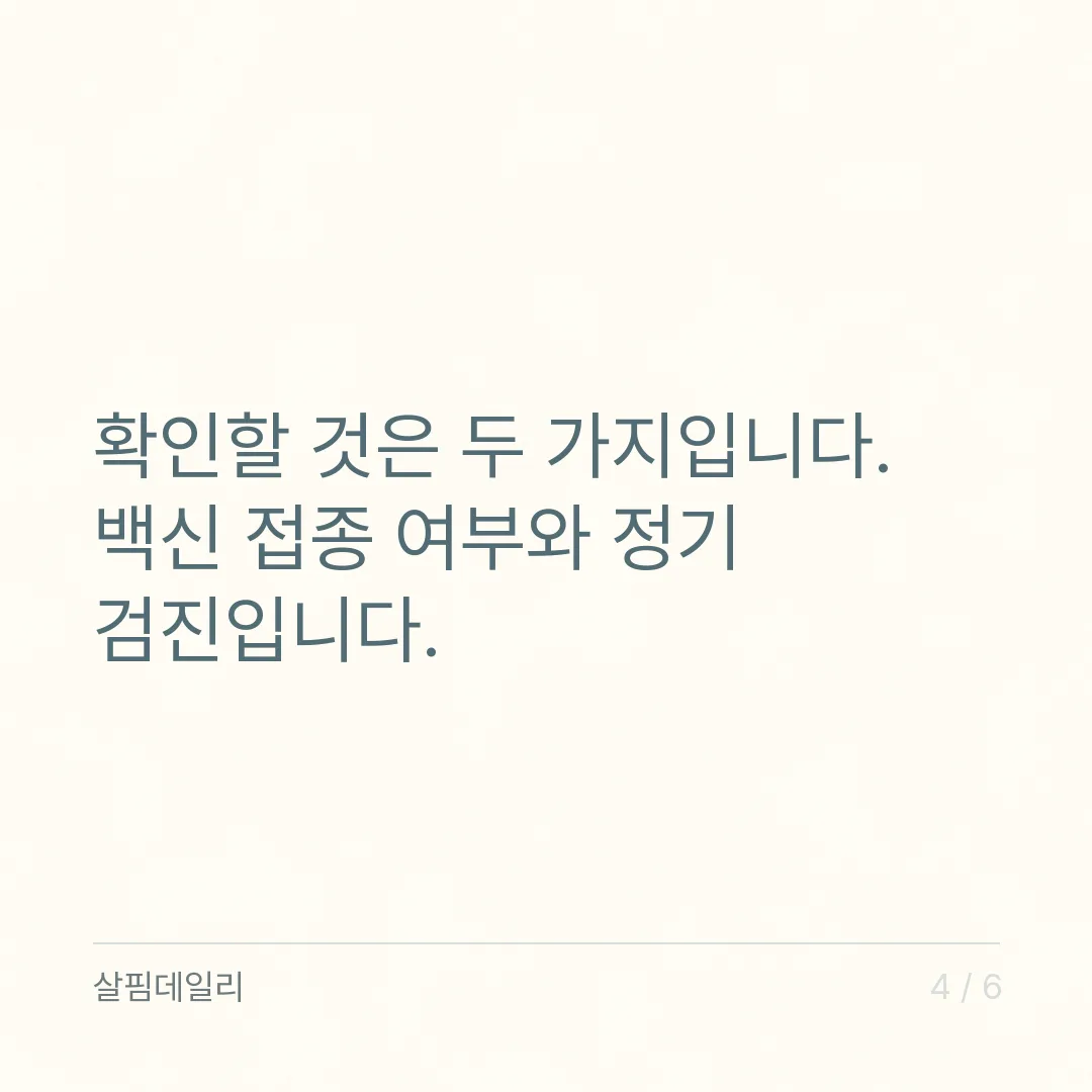 HPV 고위험군 양성 뜻, 암 진단이 아니라 감염 확인이고 다음은 검진 일정 카드 4
