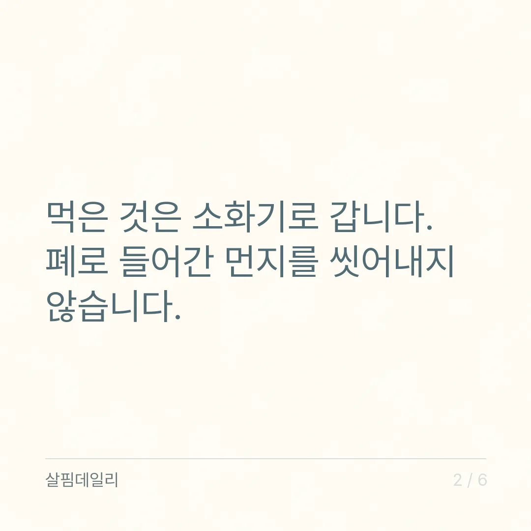 도라지 배즙 미세먼지 효과 있나요? 목은 편해져도 폐의 먼지는 못 씻는 이유 카드 2
