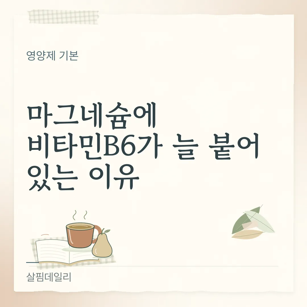 마그네슘 비타민B6 같이 든 제품, 기능이 합쳐지지는 않습니다 카드 1