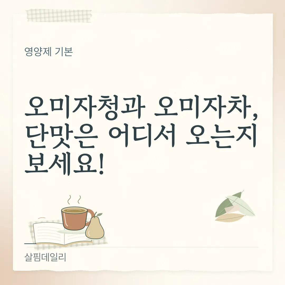 오미자청과 오미자차, 단맛은 어디서 오는지 보세요! 카드 1