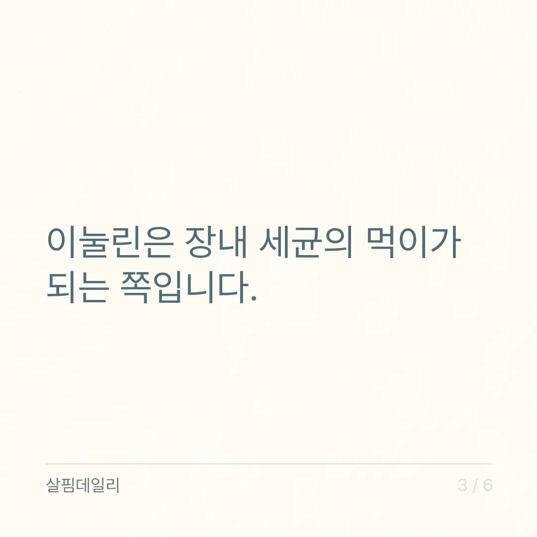 차전자피와 이눌린, 같은 식이섬유인가요 카드 3