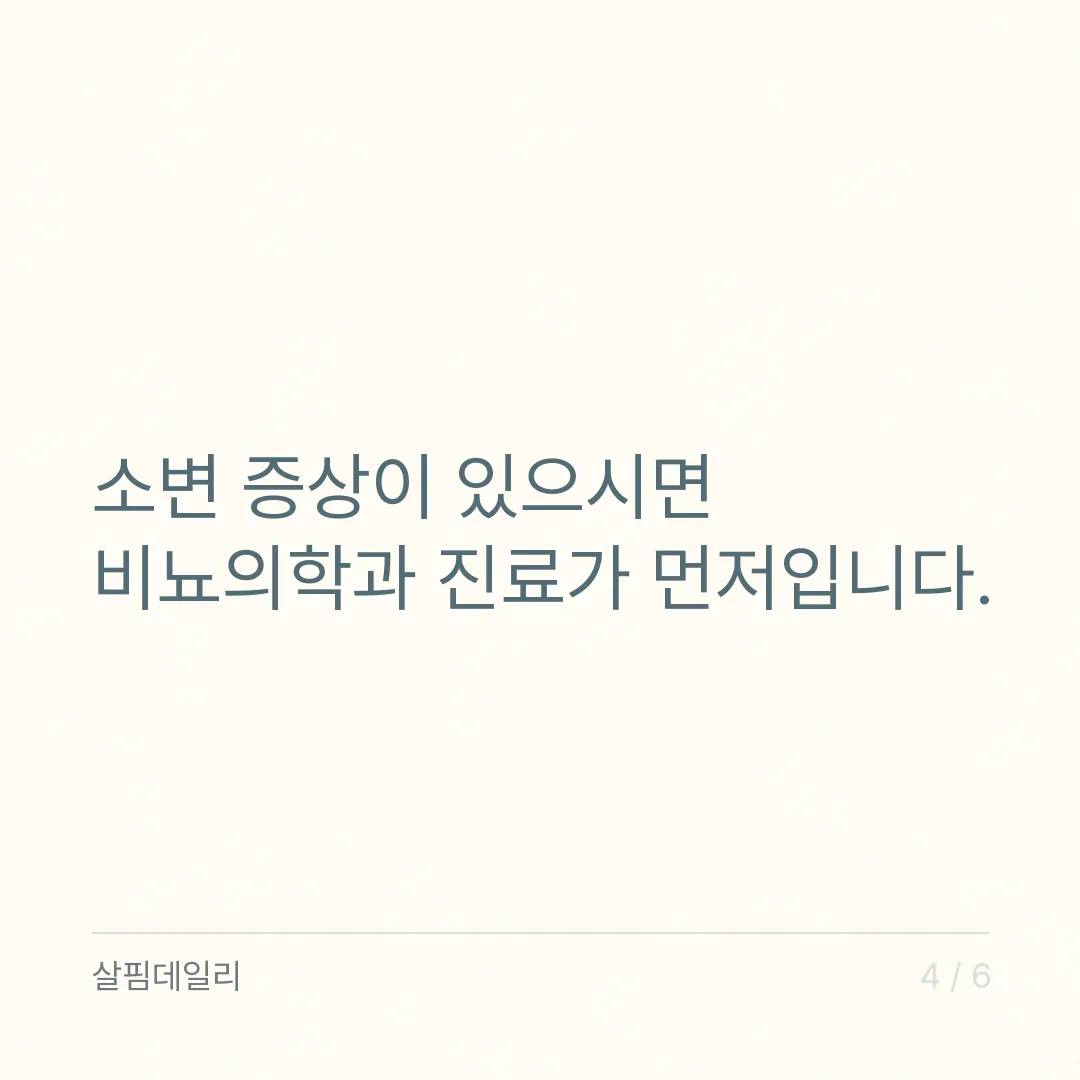 쏘팔메토, 인정된 문구는 한 줄뿐입니다 카드 4
