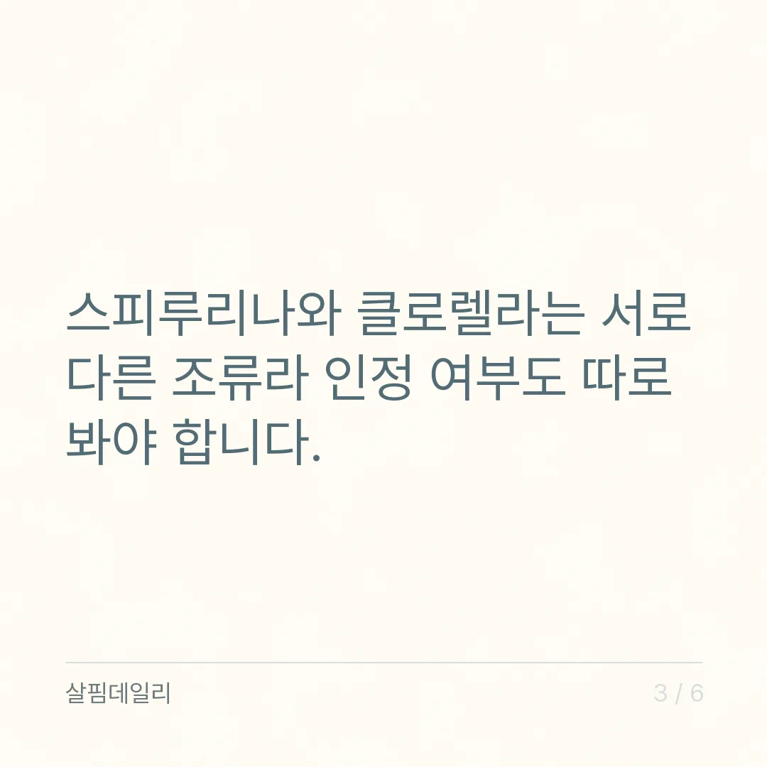 스피루리나 영양제, 슈퍼푸드 문구 말고 기능정보 칸과 요오드를 확인하세요 카드 3