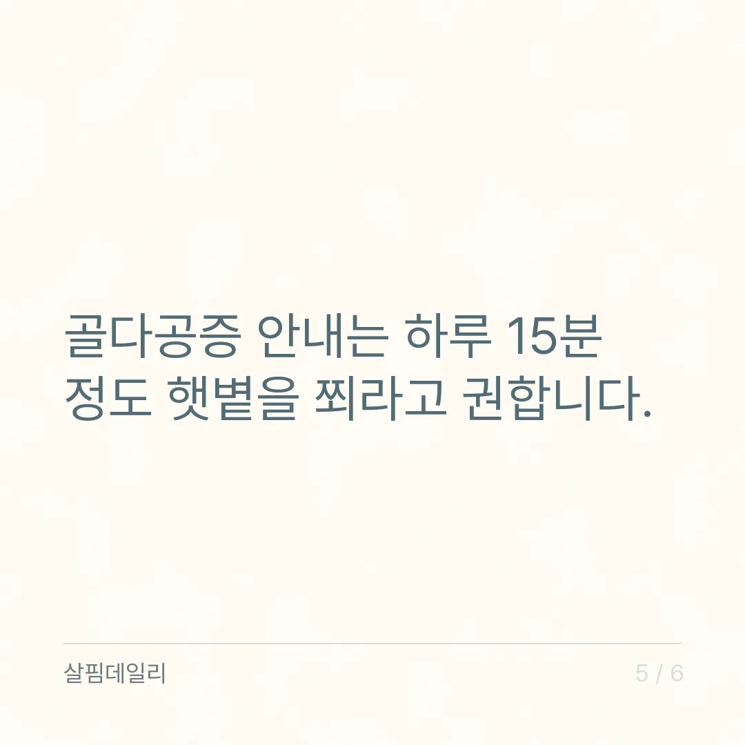 비타민D 음식, 달걀과 우유만으로 채우기 어려운 이유와 햇볕 15분 카드 5
