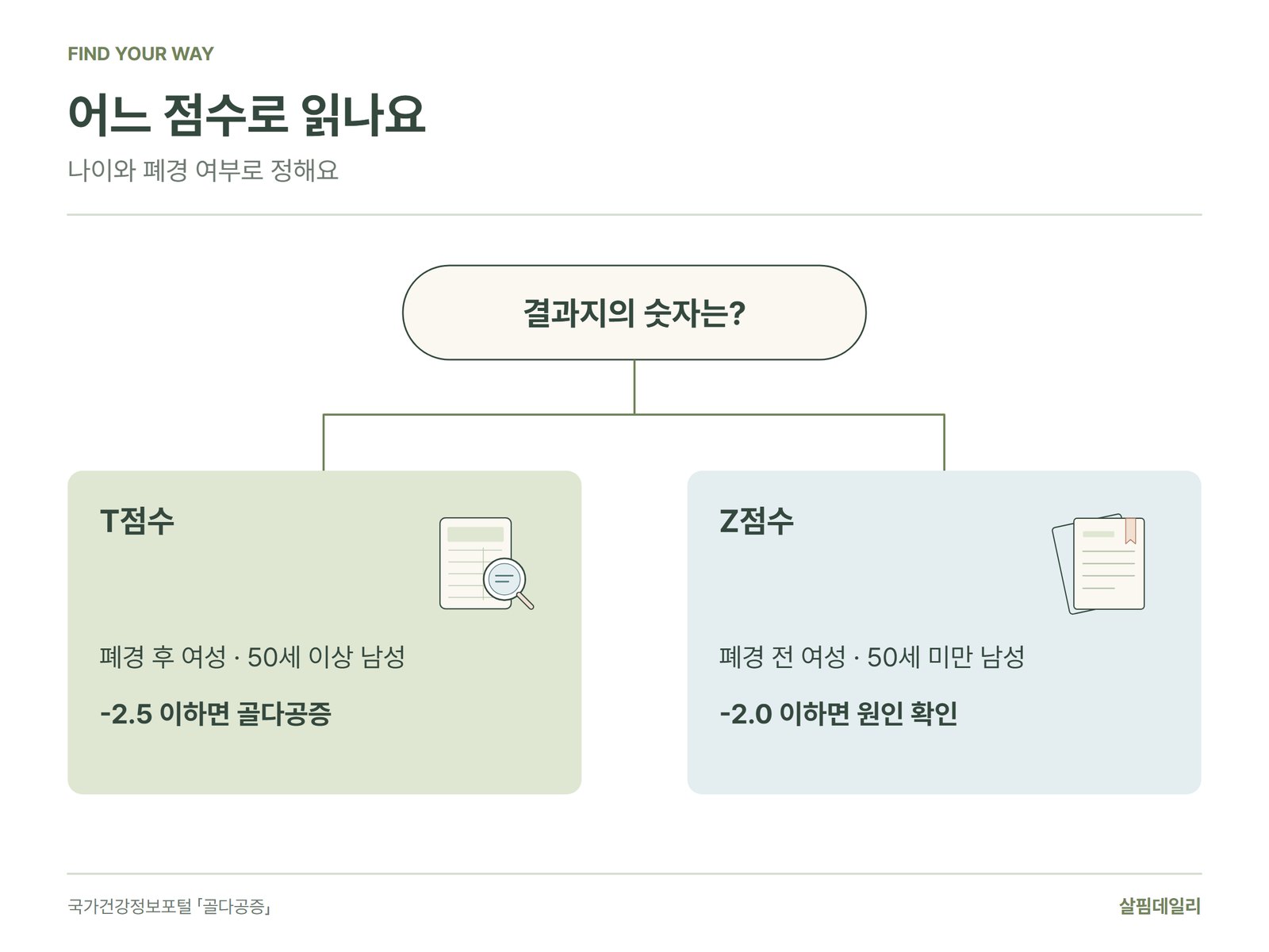 골밀도 결과지를 T점수로 읽는 경우와 Z점수로 읽는 경우