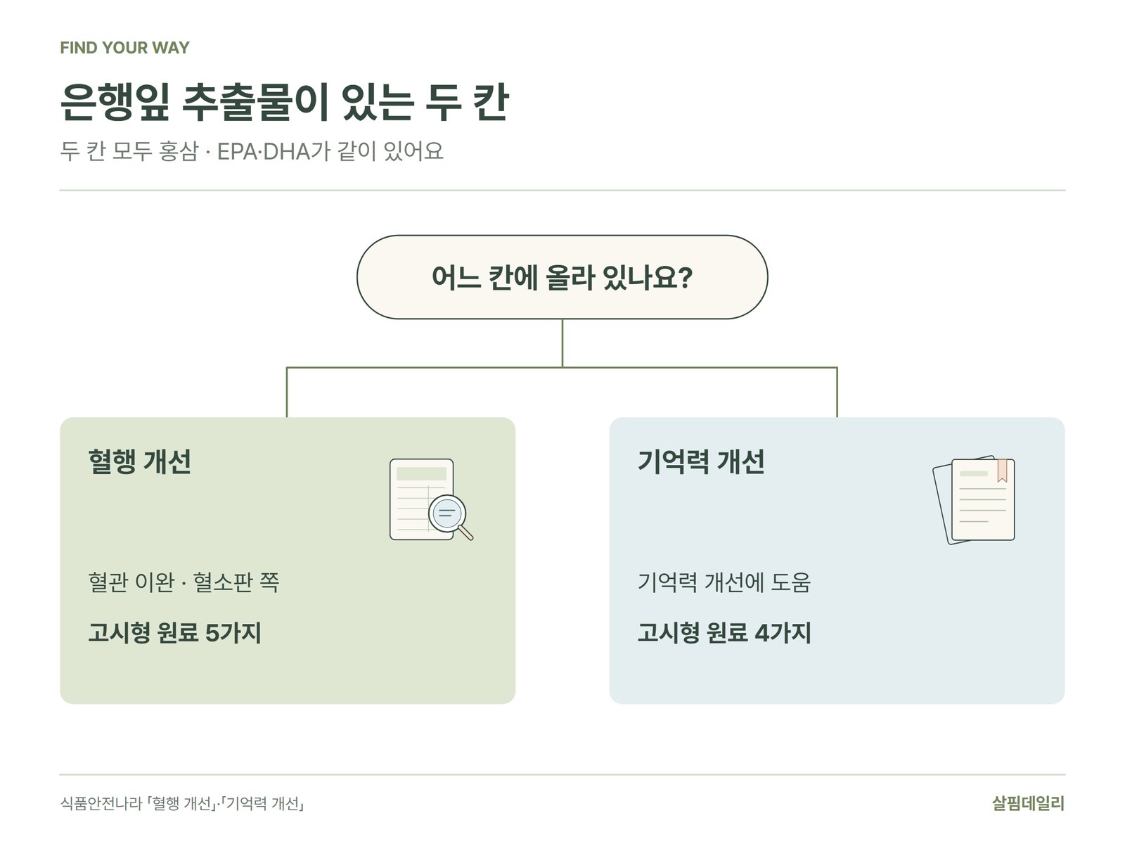 은행잎 추출물이 올라 있는 혈행 개선 칸과 기억력 개선 칸