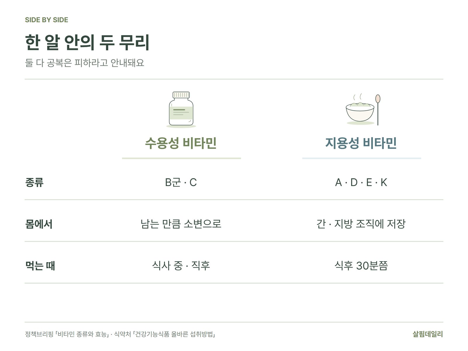 종합비타민 속 수용성 비타민과 지용성 비타민 비교