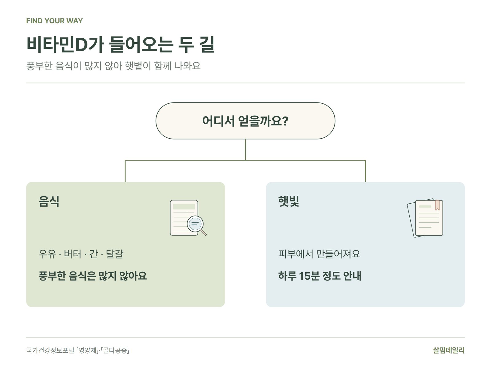비타민D가 들어오는 두 길, 음식과 햇빛